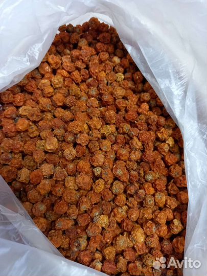 Рябина красная (сухая)