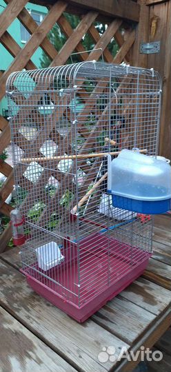 Клетка для крупного попугая