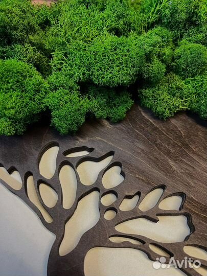 Панно со стабилизированным мхом