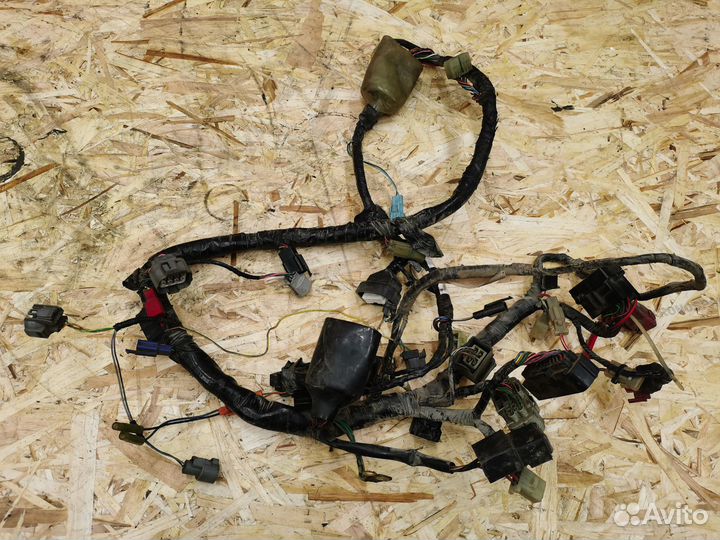 Коса проводки Honda CBR 929 2000-2001