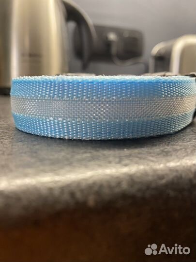 Светящийся ошейник для собак от 27-37 см голубой