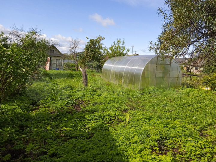 Участок 4,5 сот. (СНТ, ДНП)