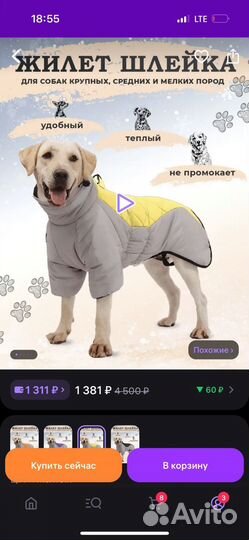 Комбинезон для собаки