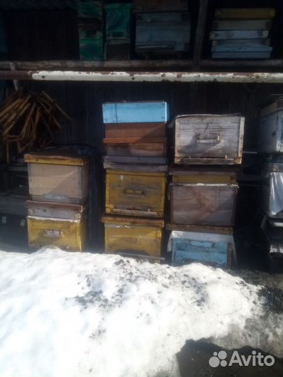 Инвентарь для пчеловодства