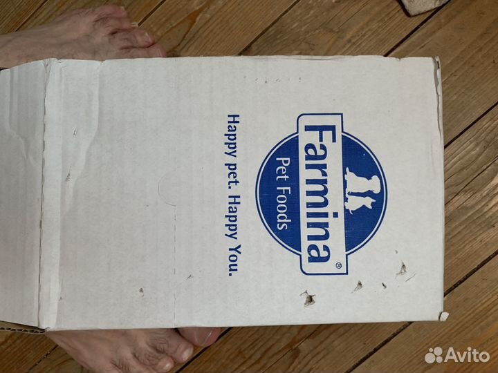 Корм для собак