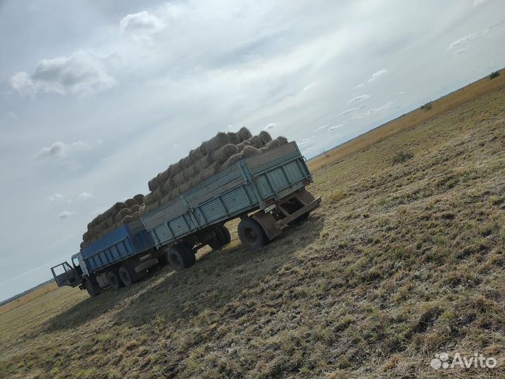 Продам сено житняк, разнотравье