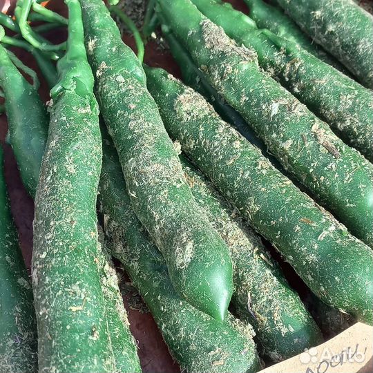 Магические свечи