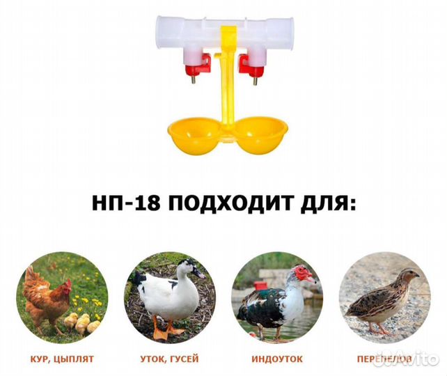 Ниппельная поилка для птиц