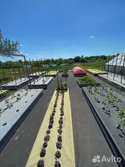 Жёлто-чёрная мульча 80 (1,6м* рулон 100м)