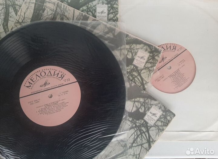 Набор виниловых пластинок 