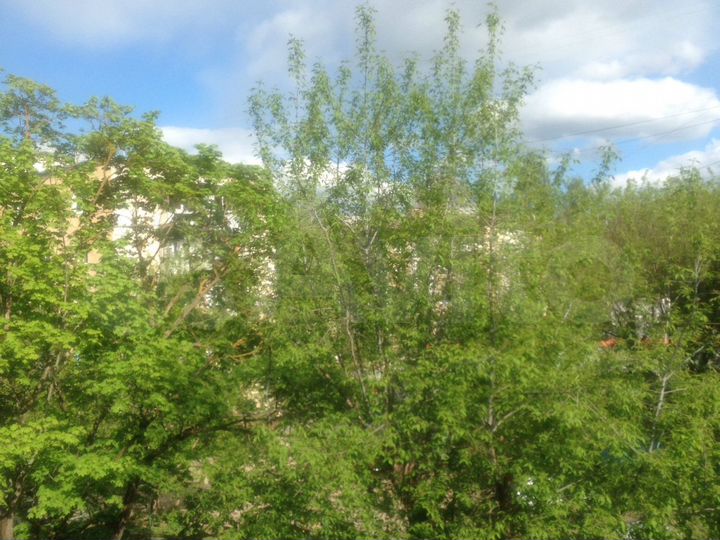 Участок 5,9 сот. (СНТ, ДНП)