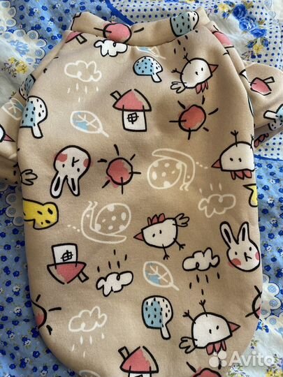 Обувь для маленьких собак и одежда