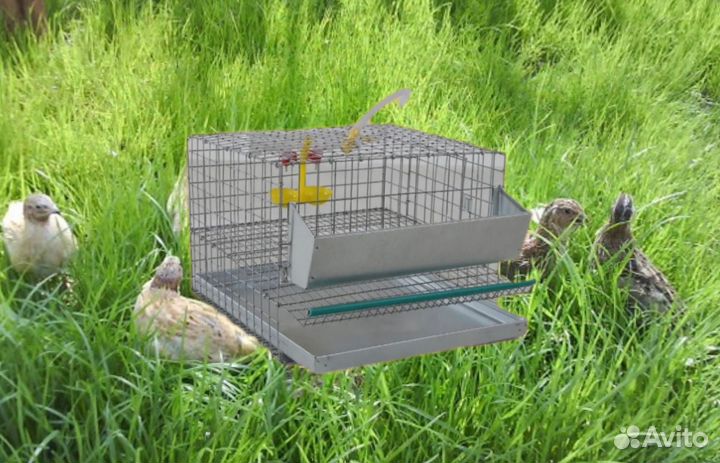 Клетки для перепелов, полный комплект