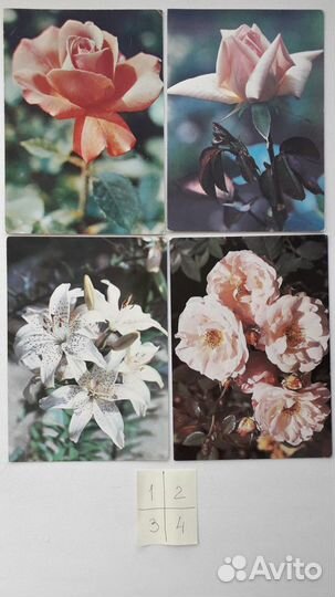 Открытки СССР 1980-86 гг