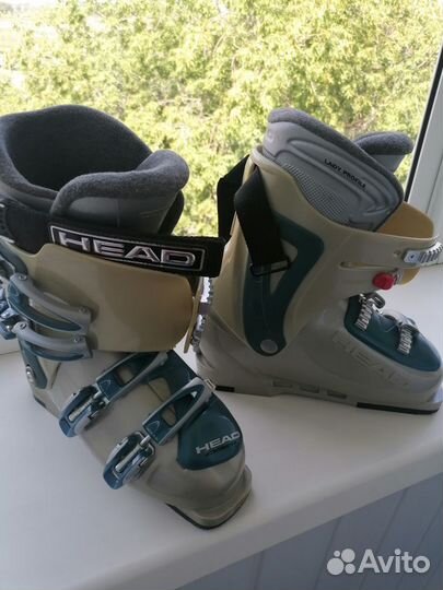 Горные лыжи