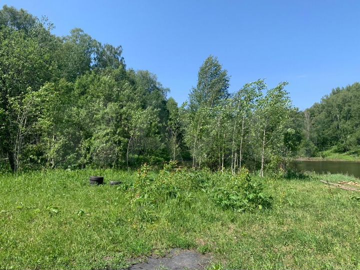 Участок 6 га (СНТ, ДНП)