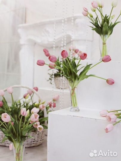 Аренда фотостудии