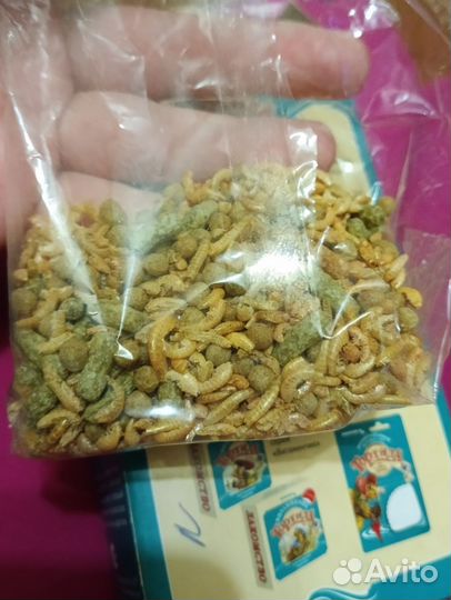 Остатки черепашек корма