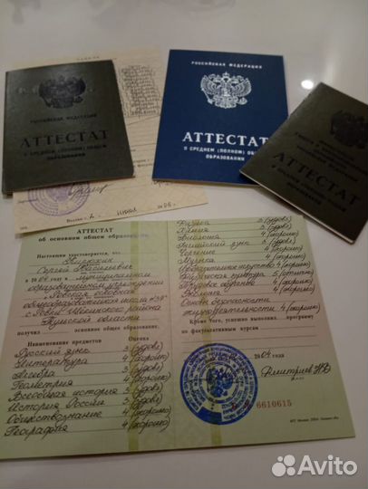 Тезникум Колледж Аттестат дистанционно