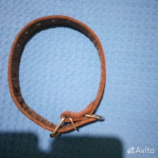 Сапожки резиновые,ошейник