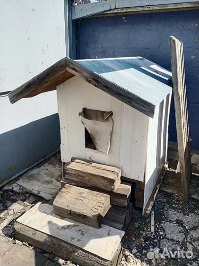 Собачья будка