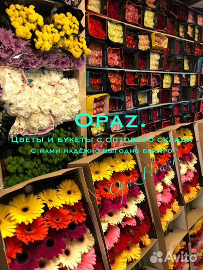 101 роза 70см Цветы с доставкой