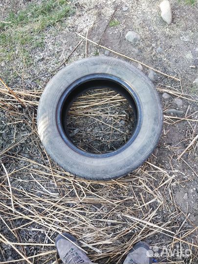 Tunga Tunga 195/65 R15