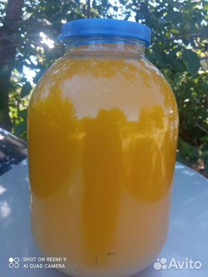 Мёд гречишный 2022