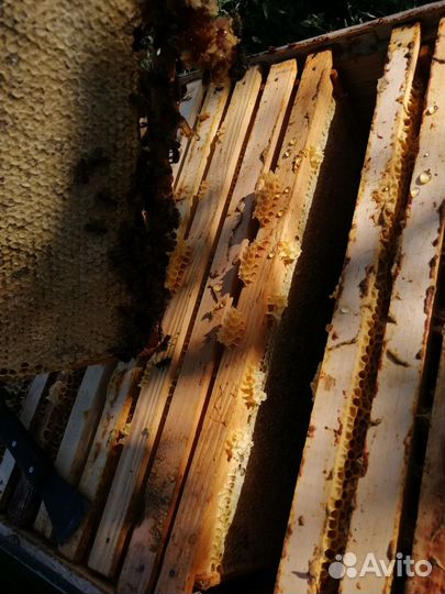 Рамки для пчел ульев