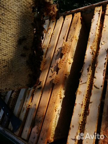 Рамки для пчел ульев