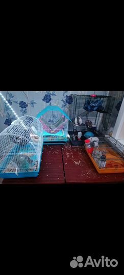 Клетка для грызунов