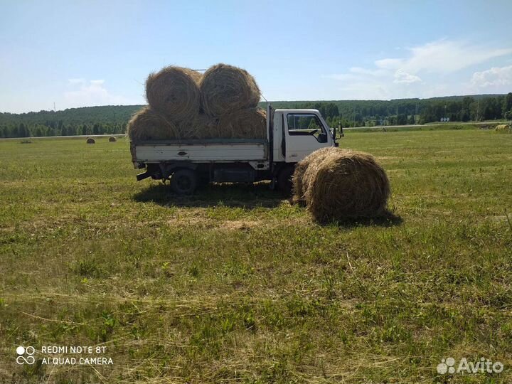 Сено в рулонах