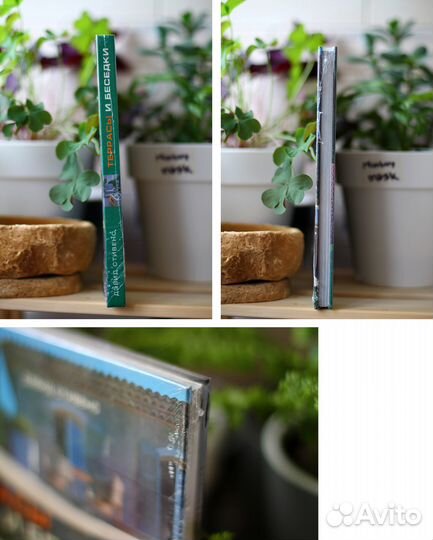 Террасы и беседки - Дэвид Стивенс