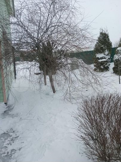 Дом 114 м² на участке 7 сот.