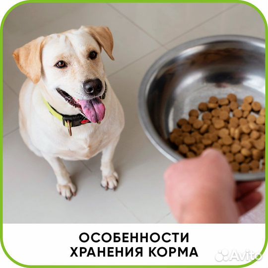 Ветеринарная помощь. Врач с выездом на дом