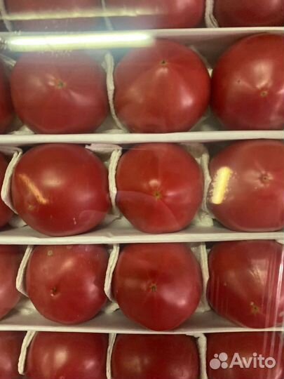 Помидор узбекистан