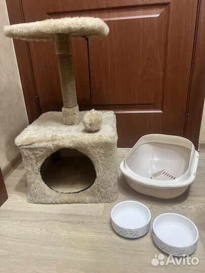 Домик когтеточка, миски, лоток