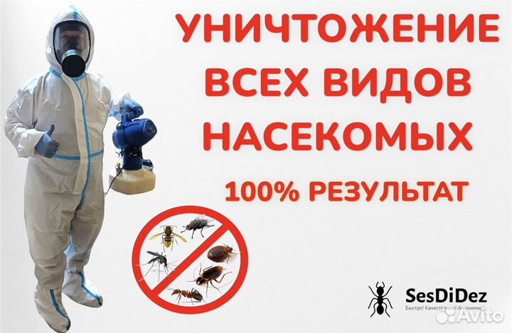Уничтожение насекомых, обработка от клещей