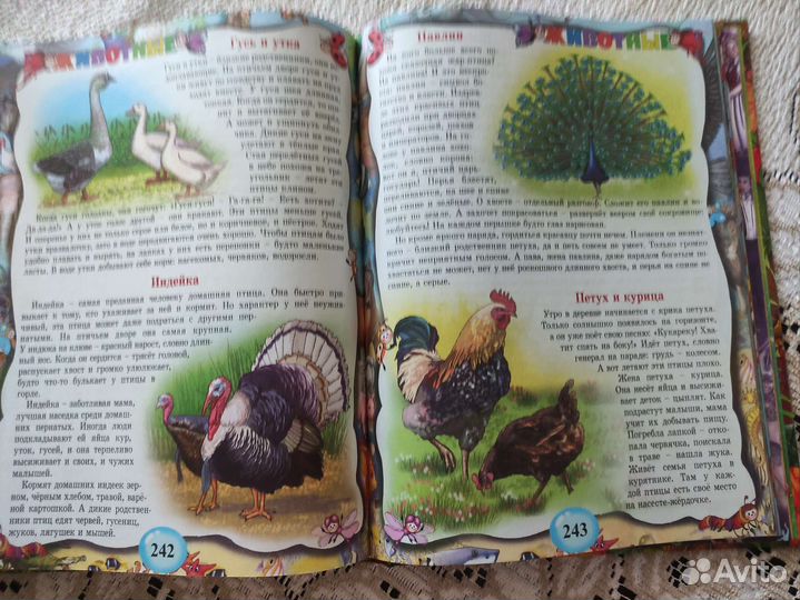 Энциклопедия дошкольника. Развитие ребёнка от 3-5