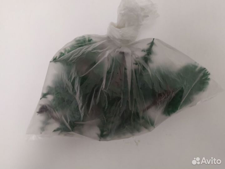 Ёлки ГДР к железной дороге piko