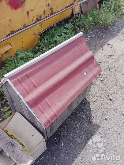 Собачья будка