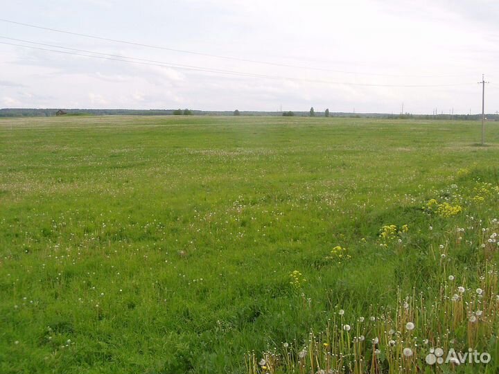 Постой для пони, лошади