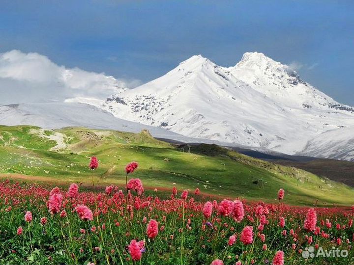 Экскурсия — Кисловодск — Ледяная поляна Азау и озе