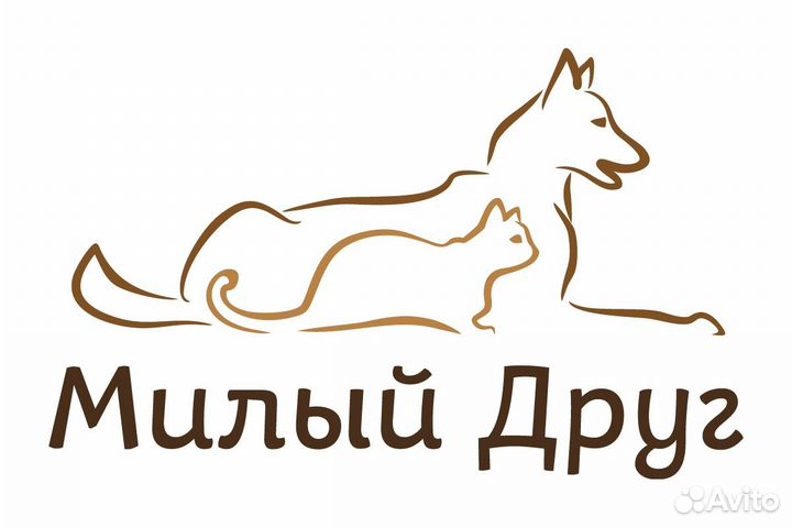 Обучение грумингу