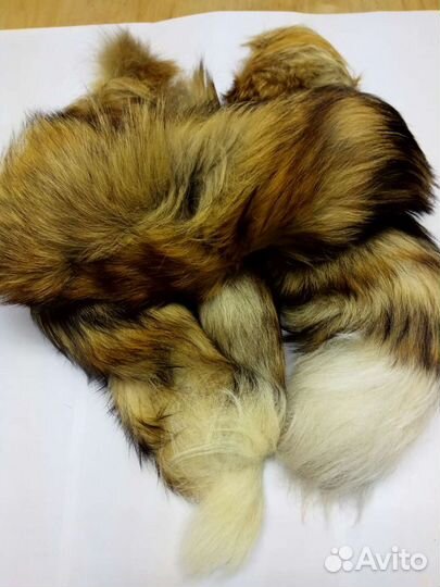 Лисий хвост