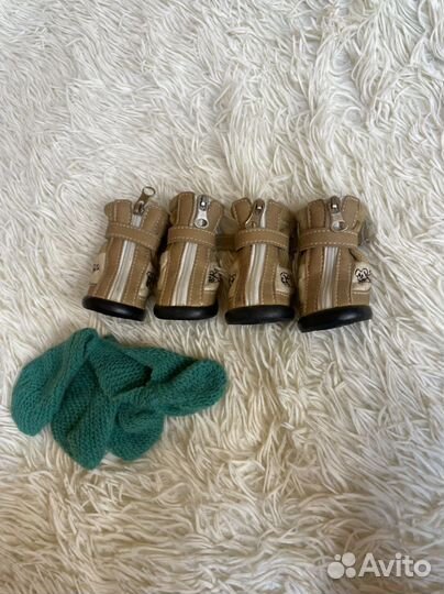 Ботинки для маленьких собак