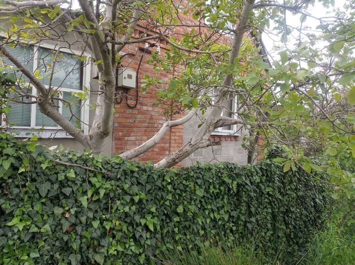 Дача 49 м² на участке 6 сот.