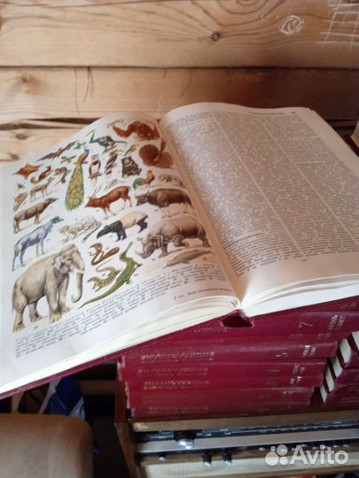 Большая советская энциклопедия 30 томов