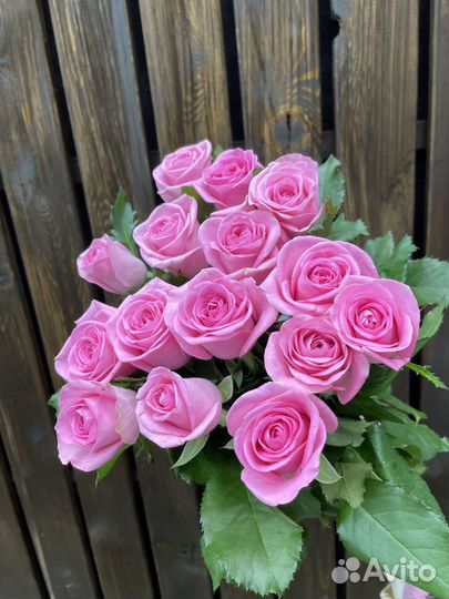 Розы с доставкой 15 шт