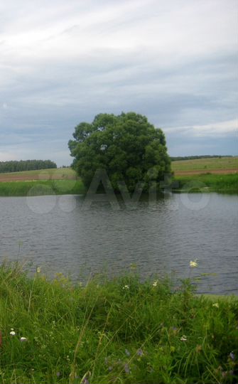 Участок 15 сот. (ИЖС)